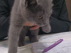 -派特宠物医院(圆融广场店)