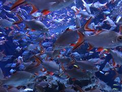 -成都浩海立方海洋公园