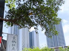 -袁妈红豆汤(重庆总店)