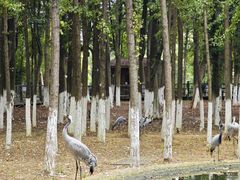 -艾溪湖湿地公园