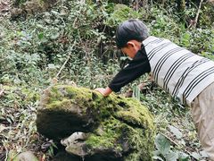 -五龙洞国家森林公园