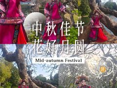 -晓港公园