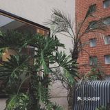 东信·和创园｜周末拍拍拍的好地方 建议收藏