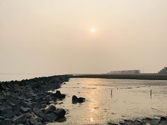 -南汇嘴观海公园