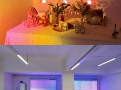 -Blue Concept Cafe&Farm·關於藍