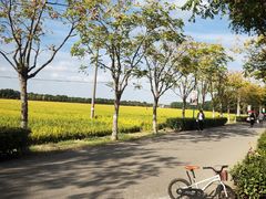 -嘉北郊野公园