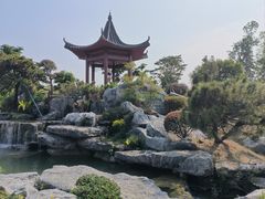 -东莞植物园