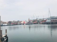 -哈利波特魔法世界