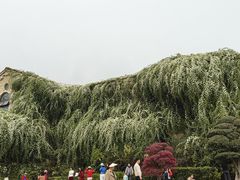 -府河摄影公园