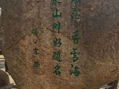 -香雪海