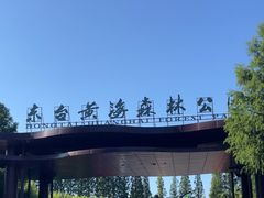 -黄海国家森林公园