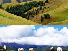 -扁都口生态休闲旅游区