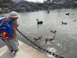 -玄武湖景区-情侣园游乐场