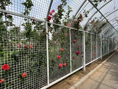 -太阳宫公园