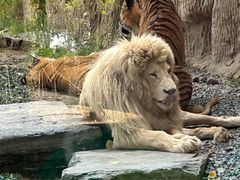 -北京野生动物园