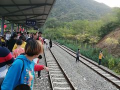 -黄金寨原生态旅游区