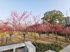 -杭州半山国家森林公园