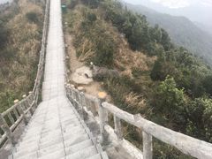 -银瓶嘴森林公园