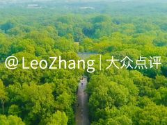 -灵谷景区