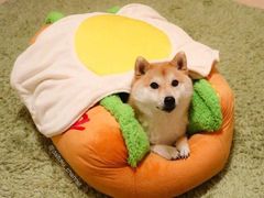 -星巴克(上海交通大学店)