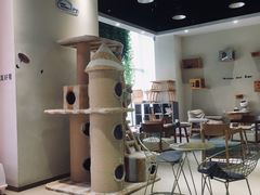 大堂-藏猫猫咖啡主题馆(中央大道店)
