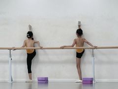 -西安小天鹅艺术团(金花路校区)