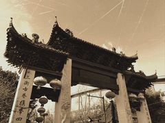 -三林塘老街