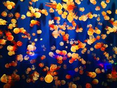 -成都浩海立方海洋公园