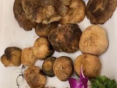 -山菌美食苑(振兴路店)