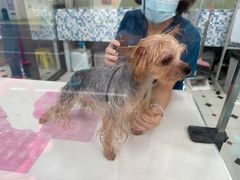 -全心全意动物诊疗中心医院(北苑店)
