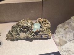 -河南自然博物馆