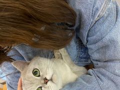 -pd派德宠物中心医院24H急重症·眼科中心·血液透析中心(嵩山北路店)