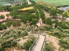 -南大港湿地风景区