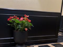 -涟LIAN·泰式按摩·MASSAGE·SPA(深业上城店)