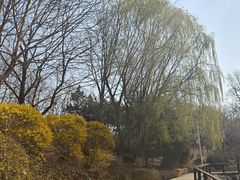 -前关湿地公园
