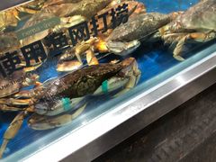 水产区-盒马鲜生(红莲店)