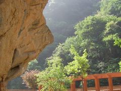 -少华山国家森林公园