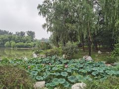 -北京小汤山医院体检中心