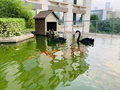-南京圣和府邸豪华精选酒店
