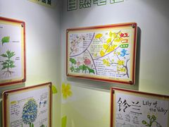 -上海昆虫博物馆