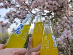 -海棠花溪(元大都城垣遗址公园)
