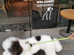 -Moka Bros 摩卡站(嘉华店)