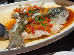 -阿拉斯加·海货(马王堆店)