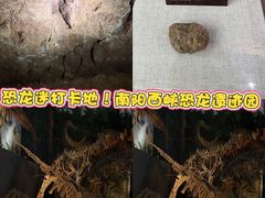 -中国西峡恐龙遗迹园