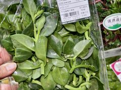 -大昌超市(中环店)