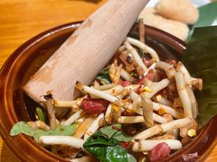凉拌折耳根-云海肴·汽锅鸡·云南菜(苏州中心店)