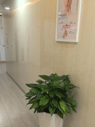 -安徽合肥韩美整形外科医院