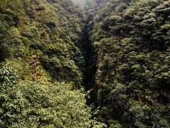 -午潮山国家森林公园