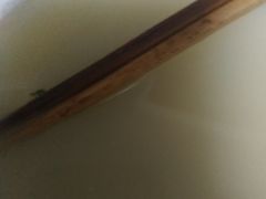 -驴世家驴肉火烧·凉皮·胡辣汤(五道口店)