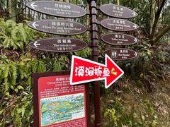 -宁波浙东大竹海景区